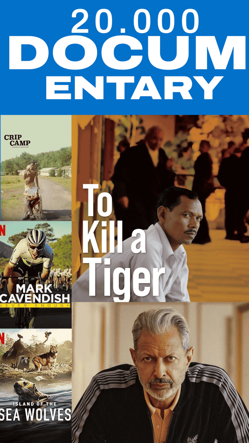 Documentary shelf